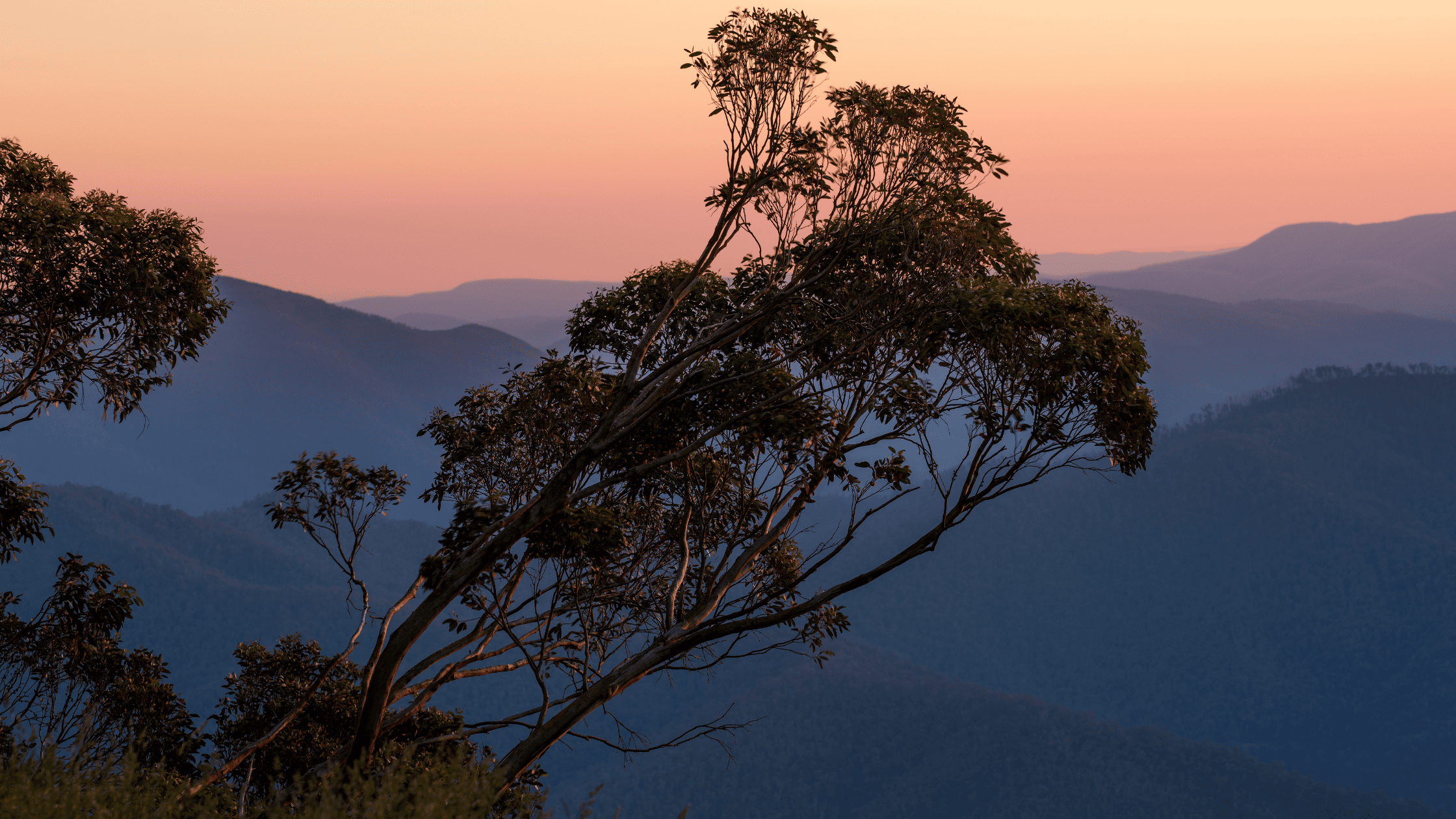 Rural Australian landscape at sunrise